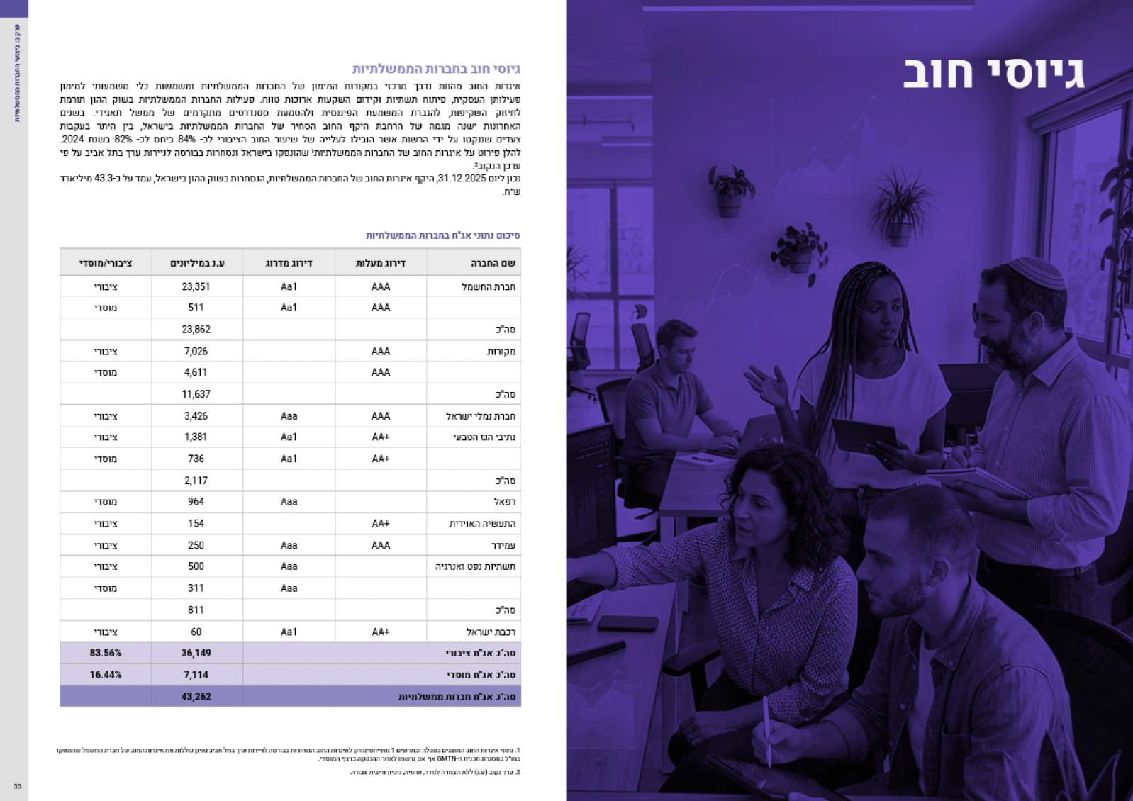 תדמית חברות, מצגות ודוחות, דוח שנתי רשות החברות, תמונה 117